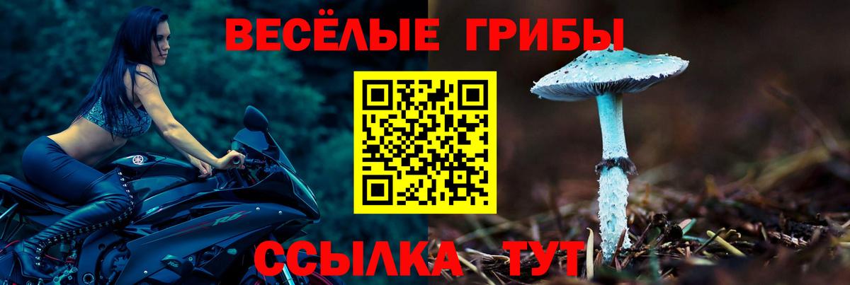 Псилоцибиновые грибы GOLDEN TEACHER  Вход с VPN  Галлюциногенные грибы GOLDEN TEACHER  Батайск 